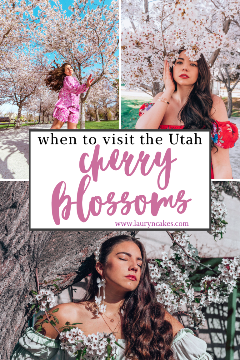 Utah Cherry Blossoms: 5 Things You May Not Know - Lauryncakes