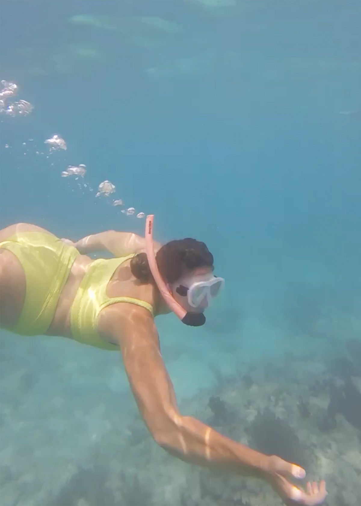 Lauryn Hock snorkeling the coral reefs in Key West, Florida