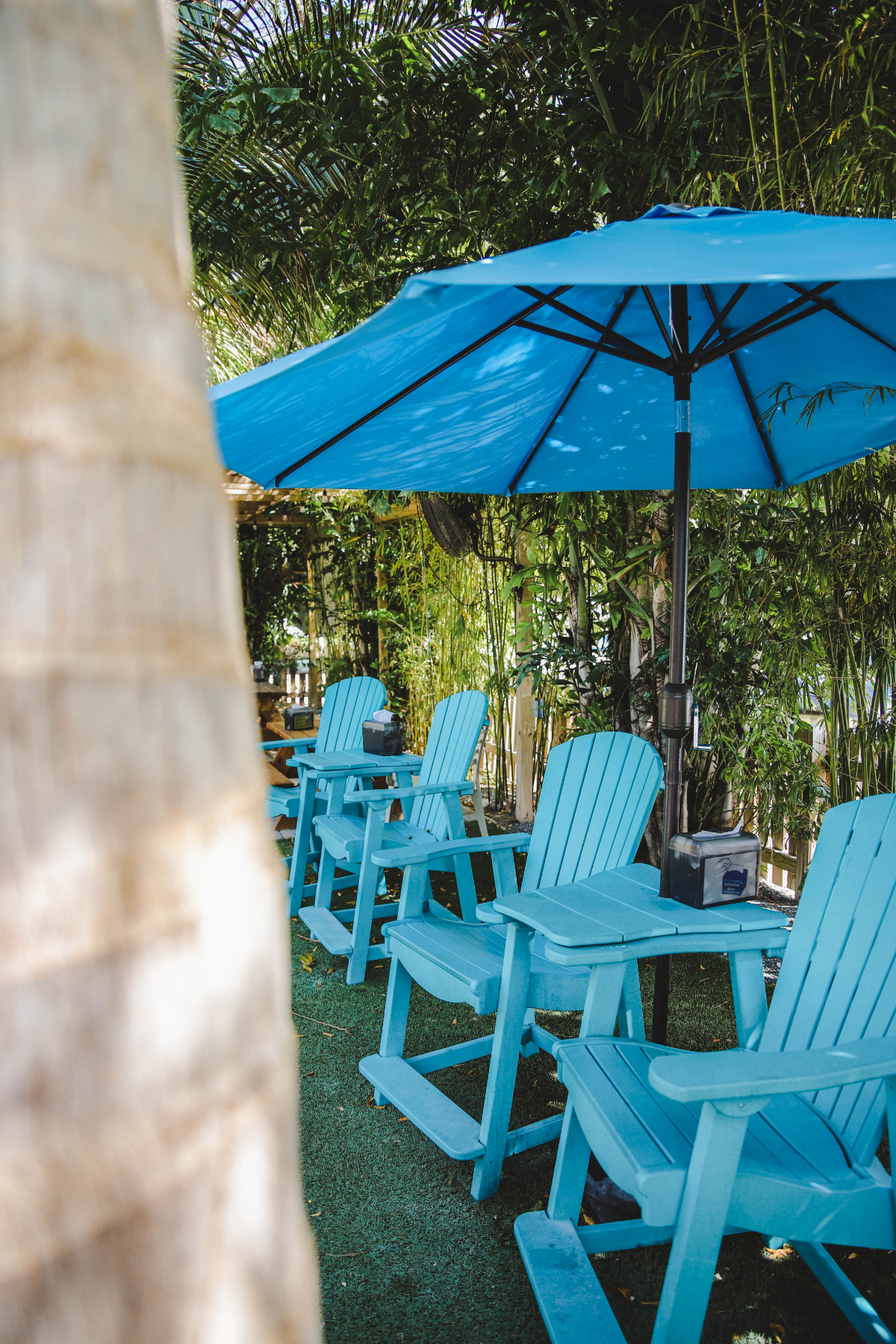 A Line of beach chairs sit under an umbrella in a grassy area at Islamorada Brewery and Distillery