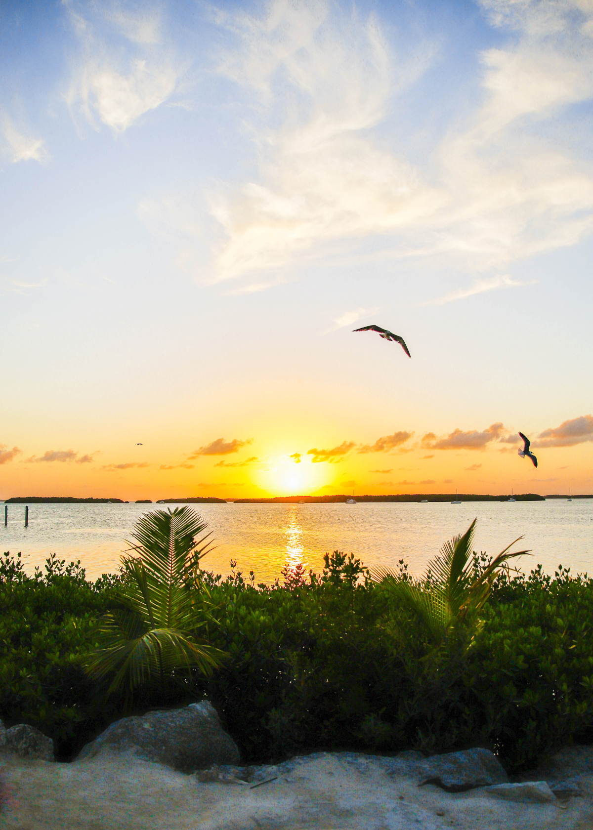 sunset at morada bay beach cafe in Islamorada, Florida Keys