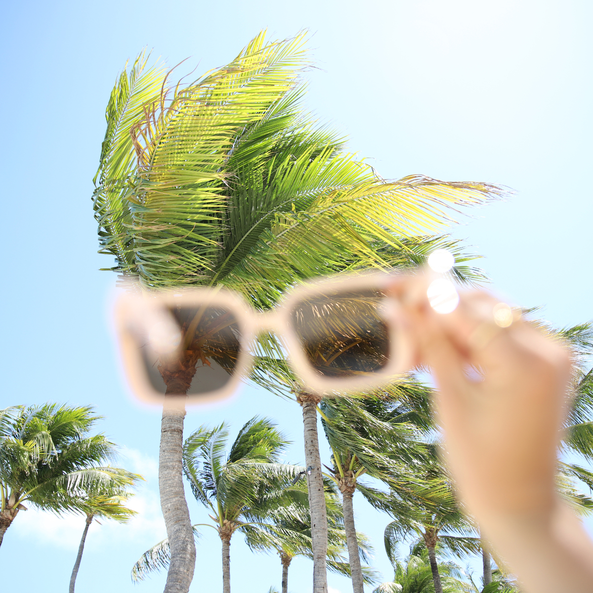 Pair of sunglasses held up to show a palm tree and a sky behind the lenses