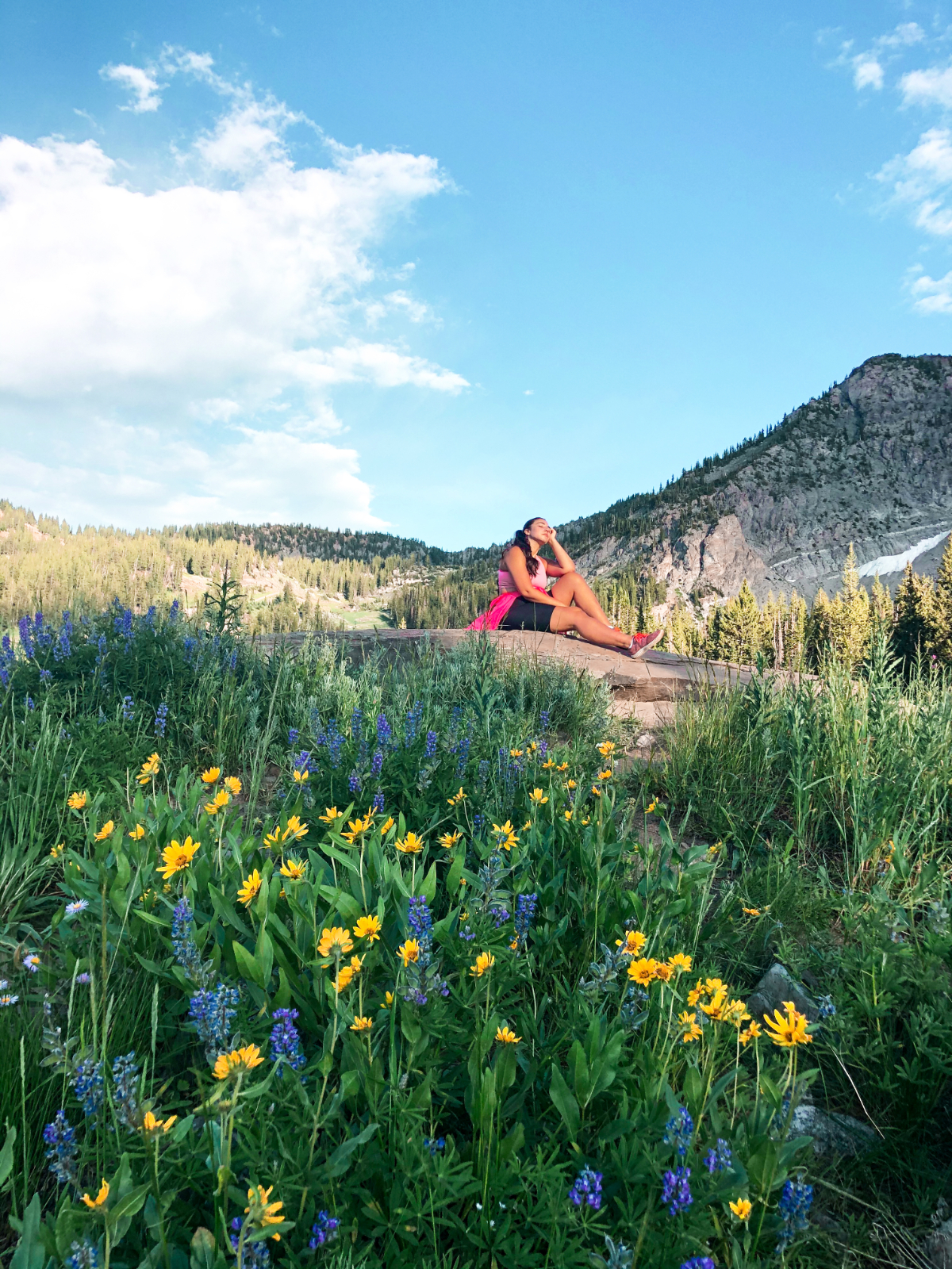 Lauryncakes (Lauryn Hock) wearing a hiking outfit while sitting on a rock in the Wasatch mountains surrounded by meadows of wildflowers at Albion Basin
